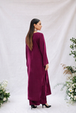 Noor e Gulnaar | 2pc Embroidered Velvet