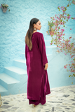 Noor e Gulnaar | 2pc Embroidered Velvet