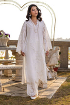Vintage White Grape Drape