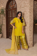 ZARMEEN - Farshi Shalwar suit