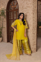 ZARMEEN - Farshi Shalwar suit