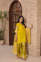 ZARMEEN - Farshi Shalwar suit